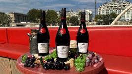 croisiere-beaujolais-nouveau(1)